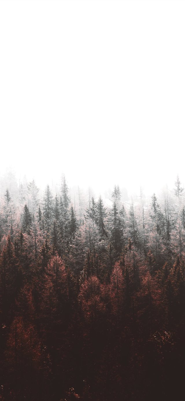 1125x2436 Italy - green iPhone X Wallpaper