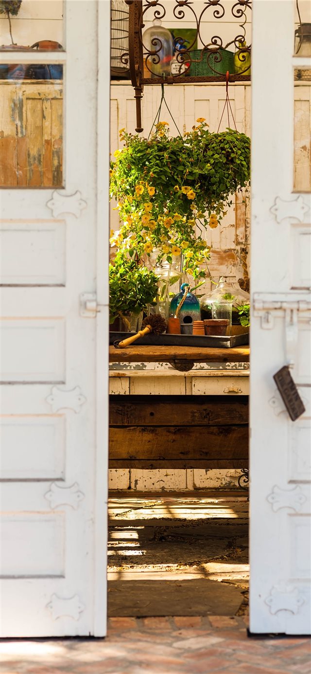 1125x2436 Oak Cliff  Dallas  United States - plant iPhone X Wallpaper
