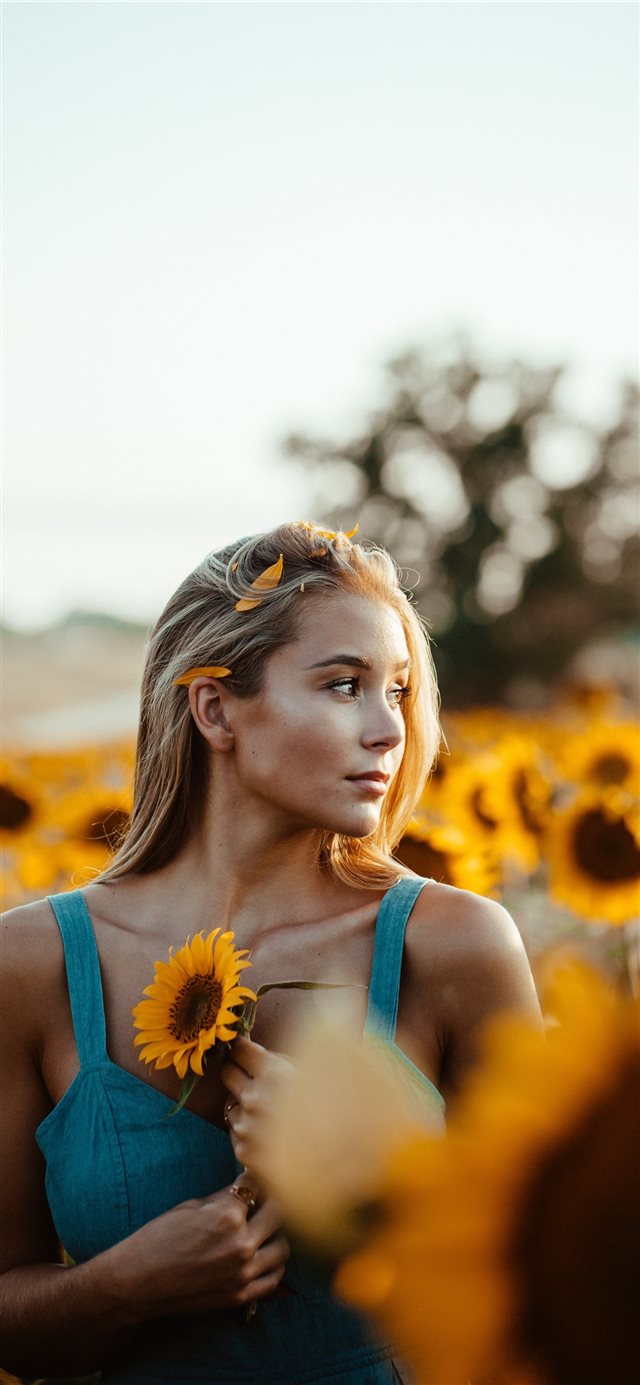 1125x2436 Golden hour of a lifetime - golden iPhone X Wallpaper