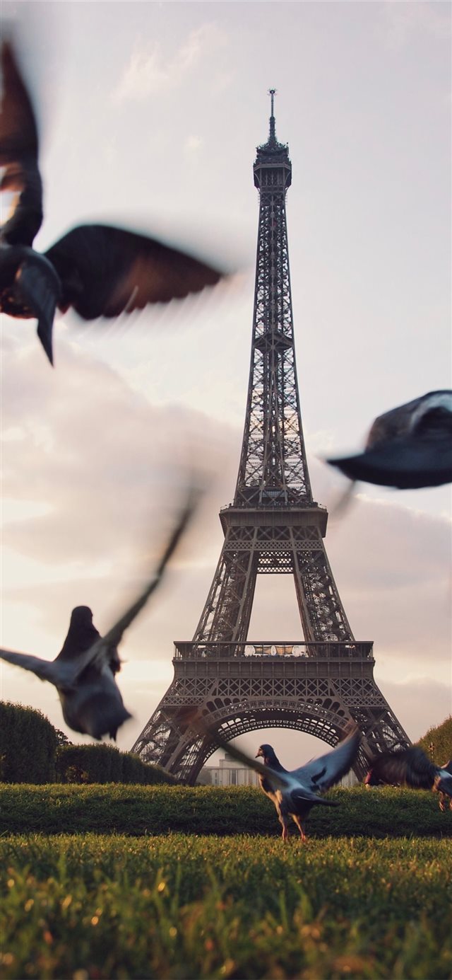 1125x2436 Take off - travel iPhone X Wallpaper