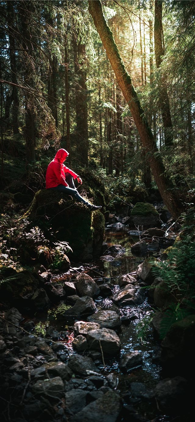 1125x2436 The Hidden Creek - sweden iPhone X Wallpaper