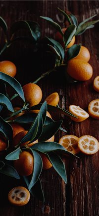 Kumquats iPhone X wallpaper