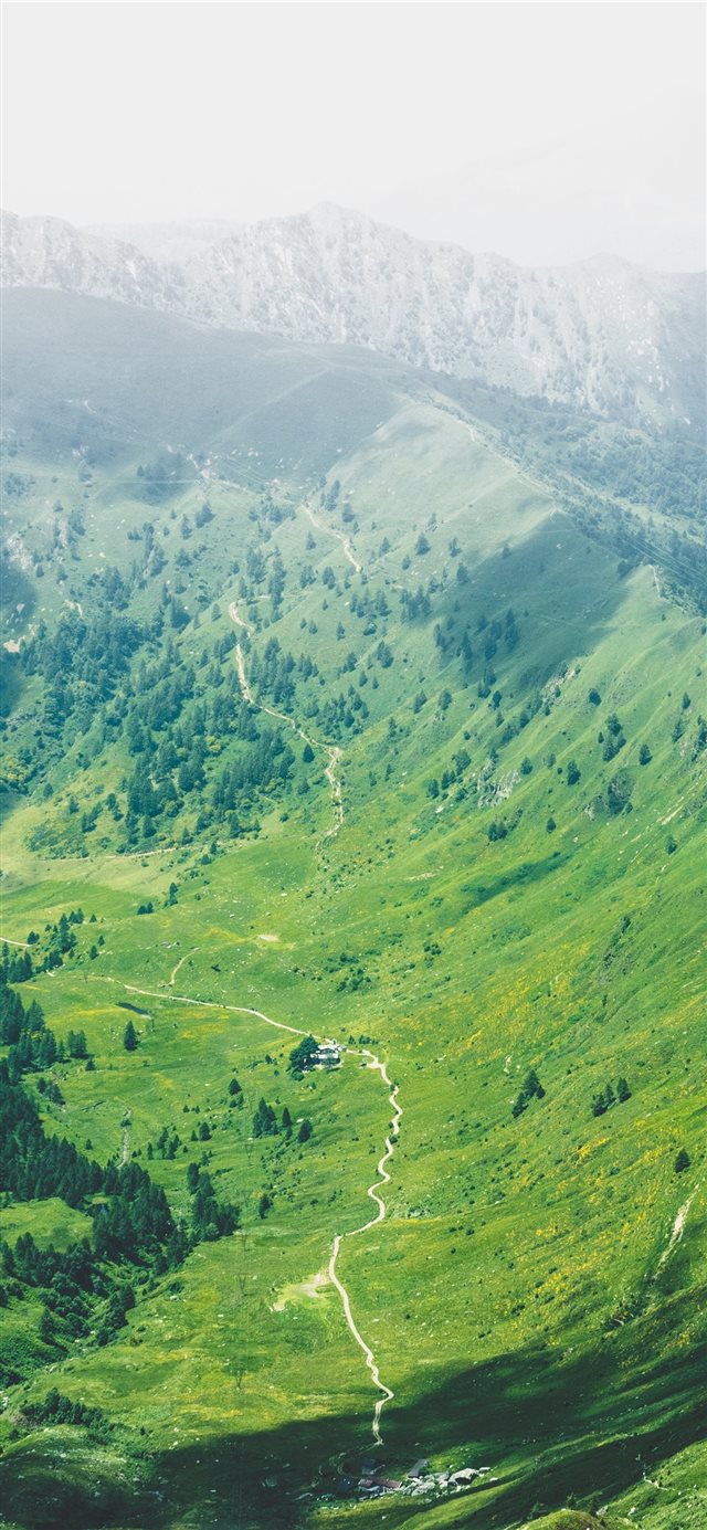 1125x2436 nature wallpaper - green iPhone X Wallpaper