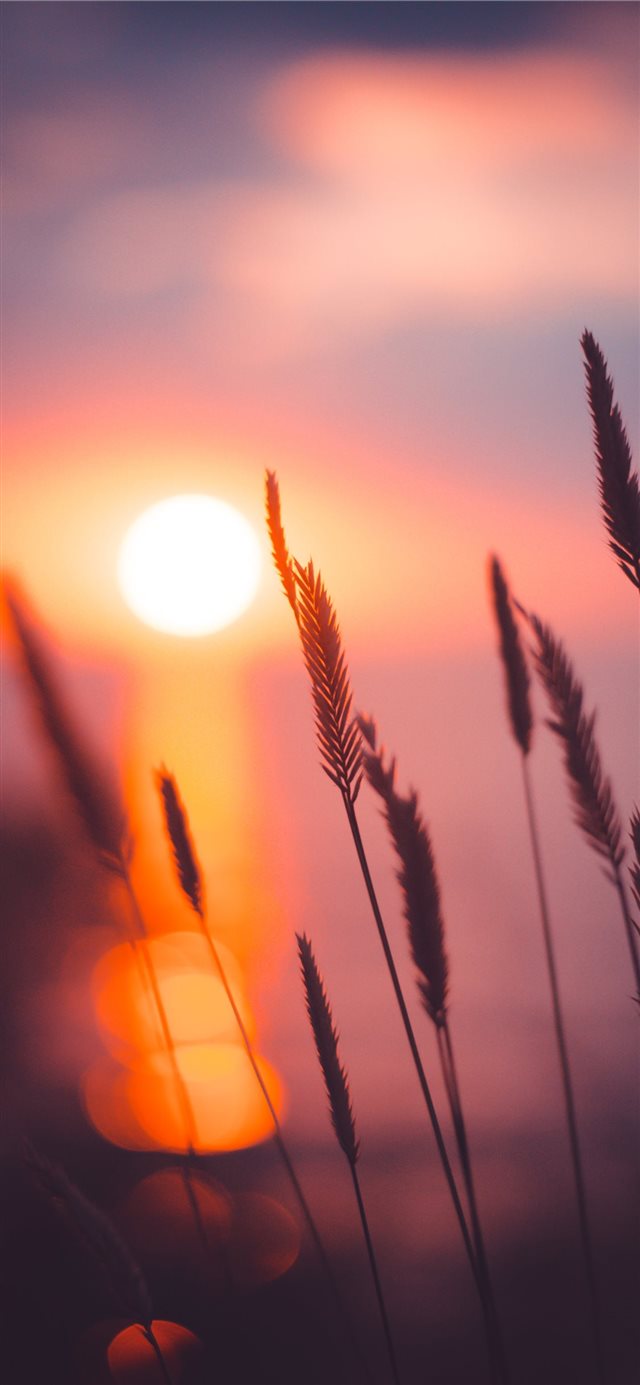 1125x2436 Sunset - sun iPhone X Wallpaper