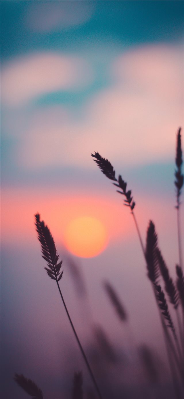 1125x2436 Sunset - sun iPhone X Wallpaper