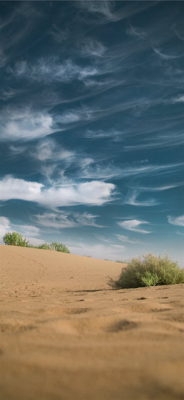 1125x2436 Jaisalmer  India - dune iPhone X Wallpaper