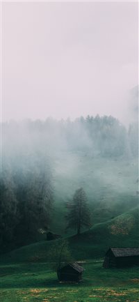 Greeny foggy wallpaper