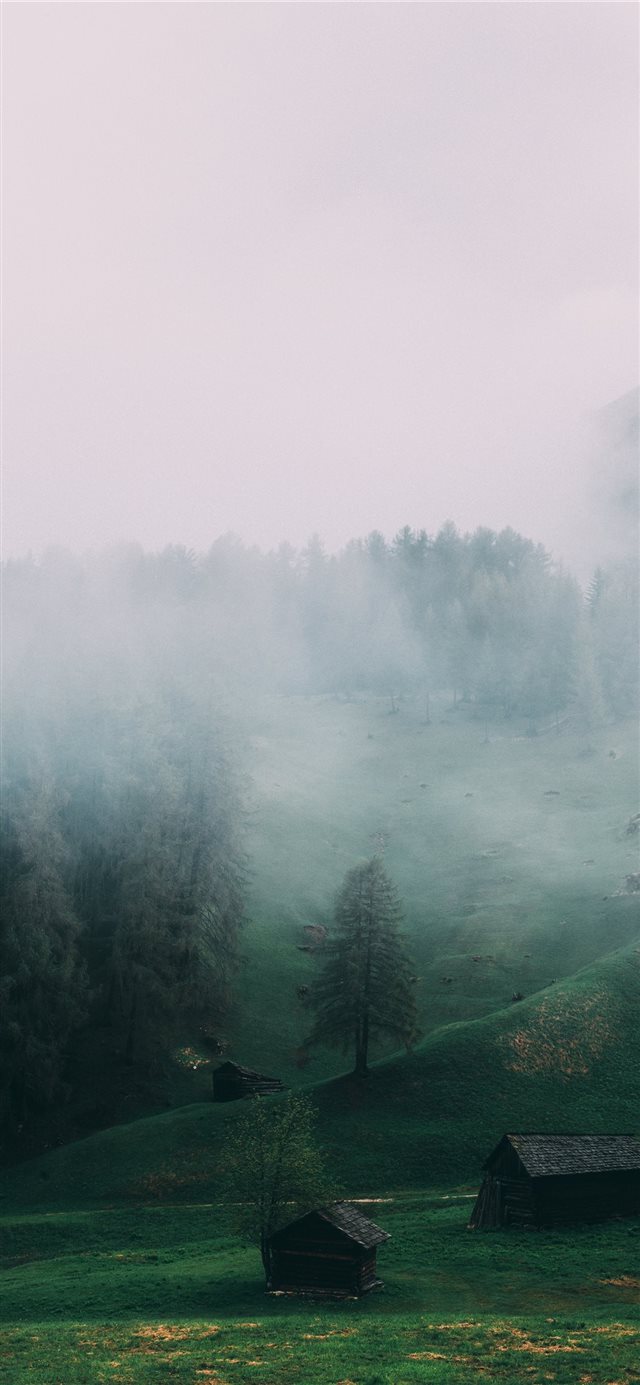 1125x2436 Greeny foggy - spring iPhone X Wallpaper