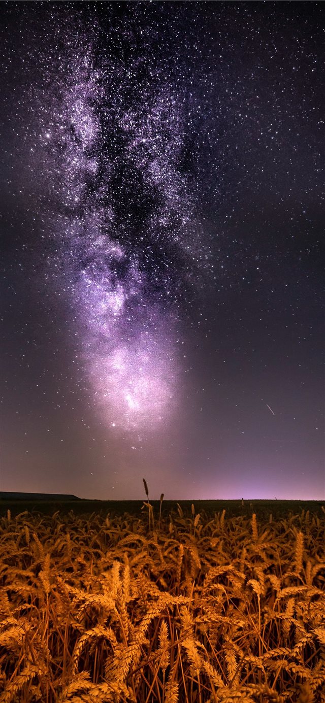 1125x2436 Milkyway over wheat field - night iPhone X Wallpaper