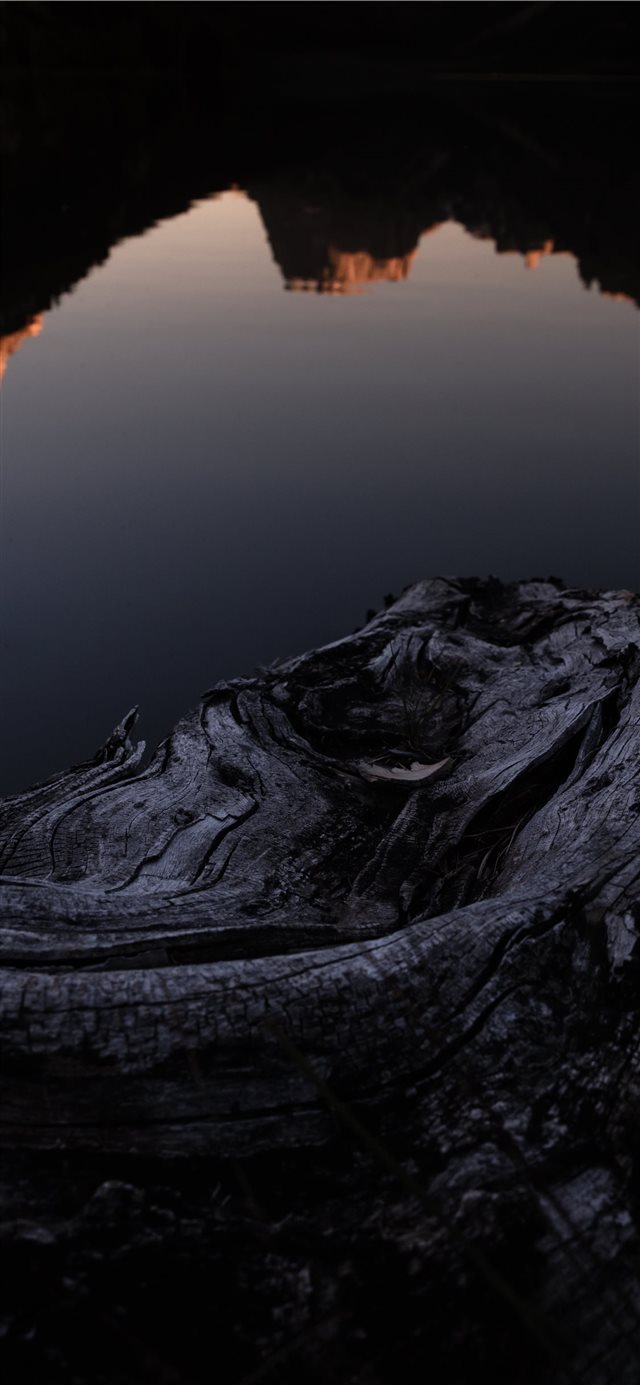 1125x2436 Wood Reflection - reflection iPhone X Wallpaper