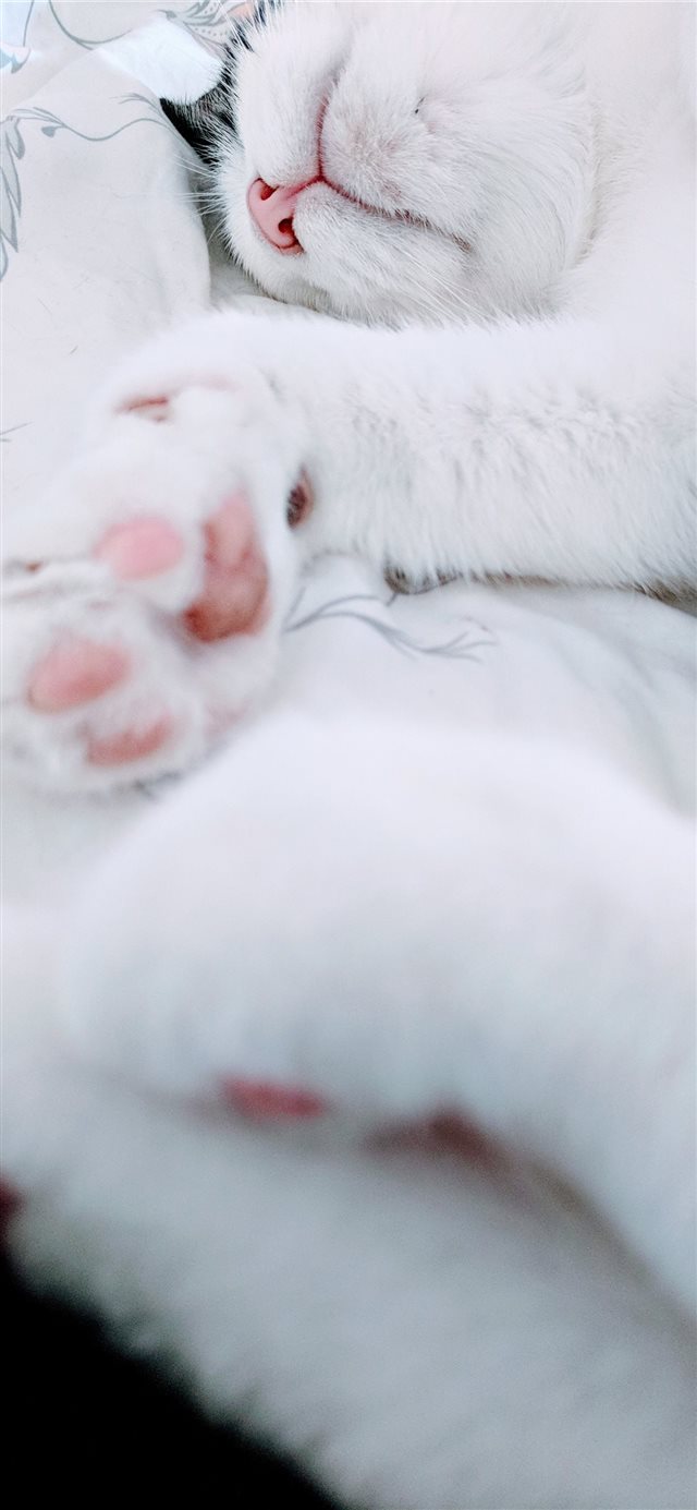 1125x2436 Pink Panther - vertical iPhone X Wallpaper