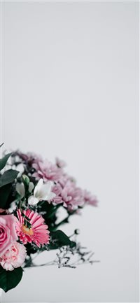 Best Flower iPhone X HD Wallpapers - iLikeWallpaper