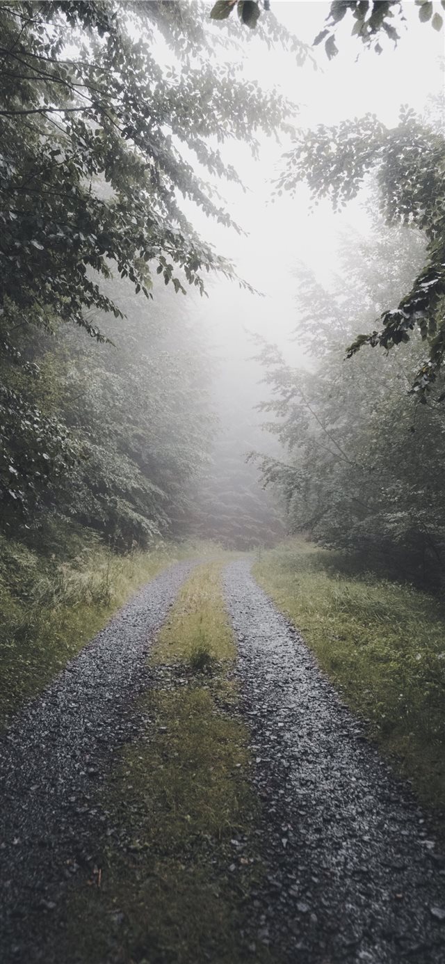 1125x2436 fog it - foggy iPhone X Wallpaper