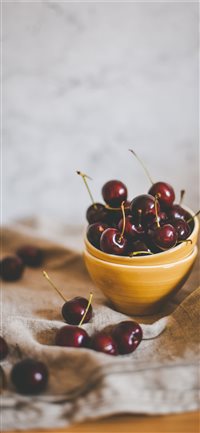 Brussels  Belgium wallpaper