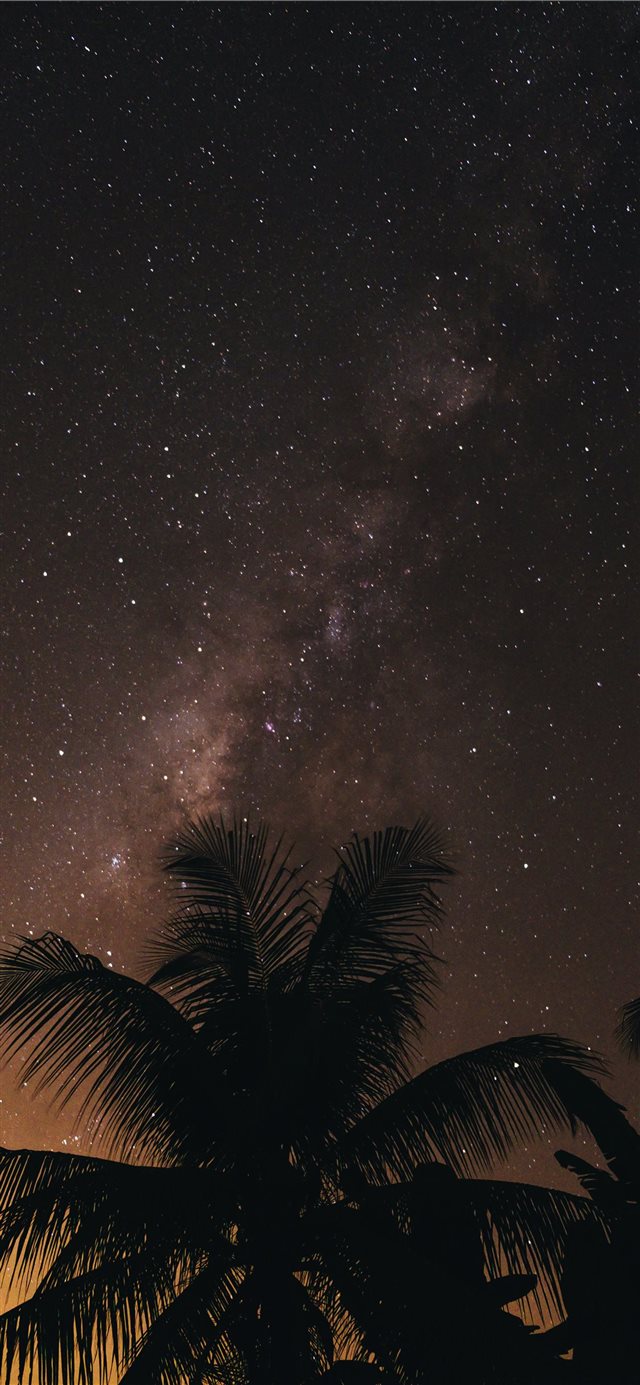 1125x2436 Bima Sakti - star iPhone X Wallpaper