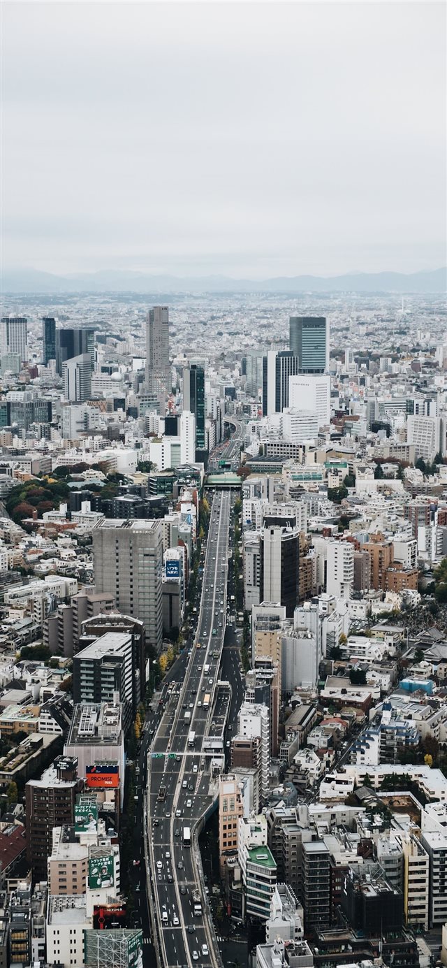 1125x2436 Tokyo City View - city iPhone X Wallpaper
