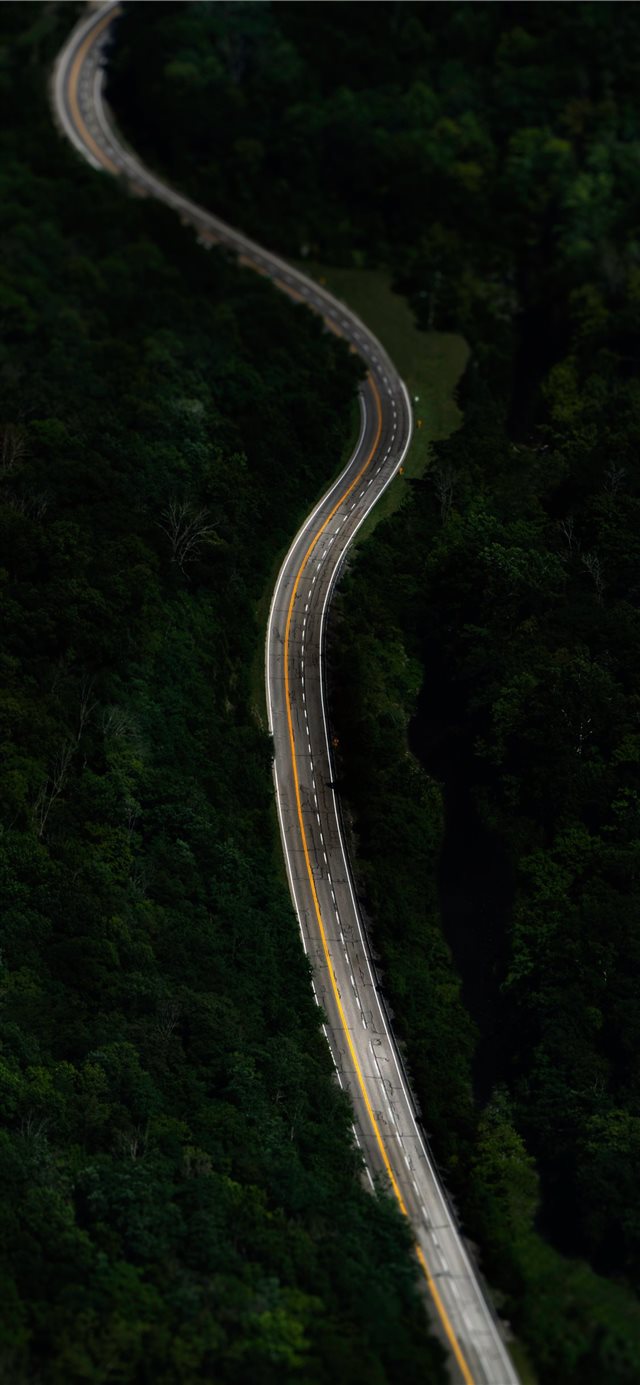 1125x2436 Texas Road - green iPhone X Wallpaper