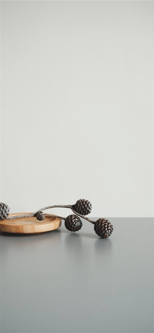 1125x2436 Good Show - indoor iPhone X Wallpaper