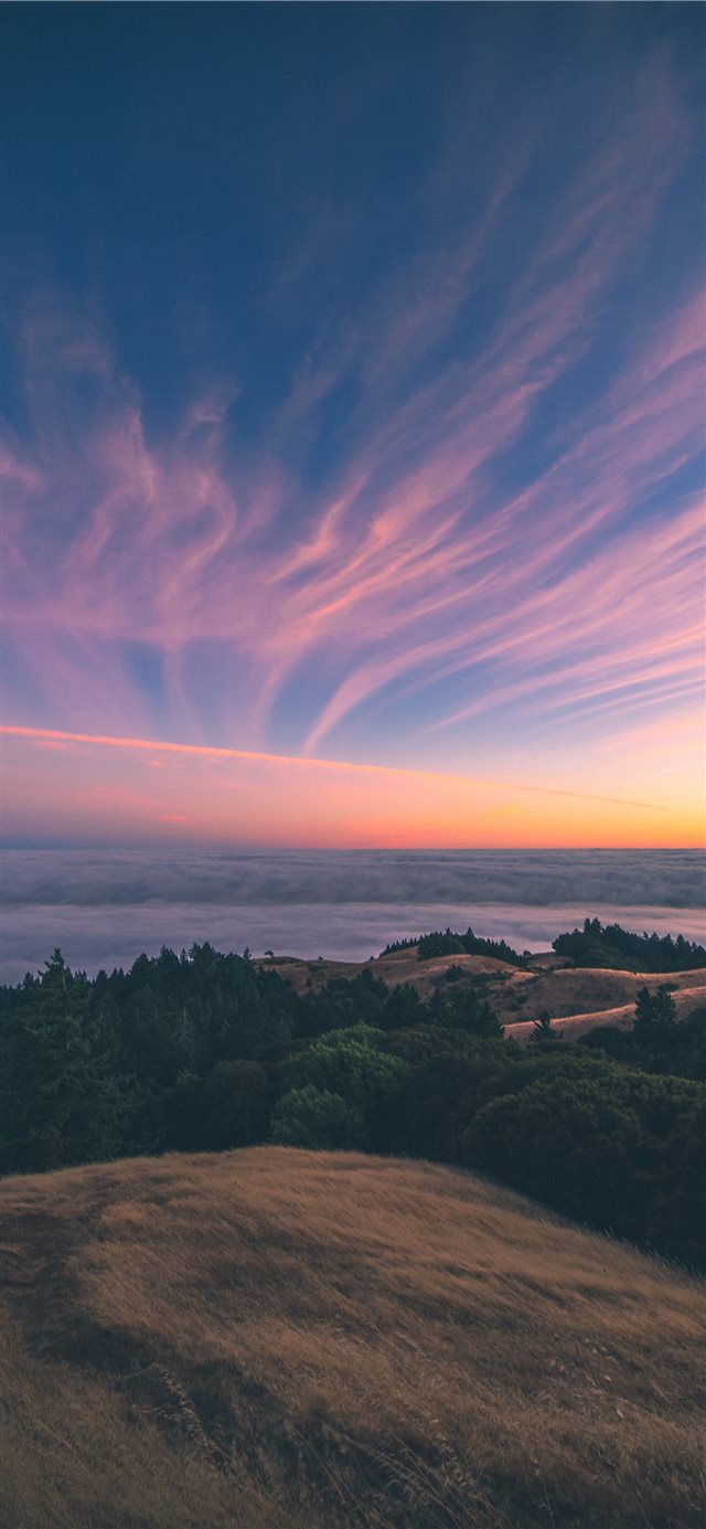 1125x2436 Brilliance - photo iPhone X Wallpaper