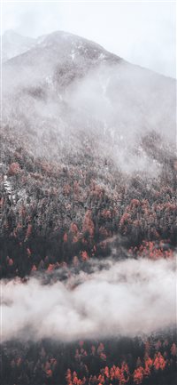 White fall wallpaper