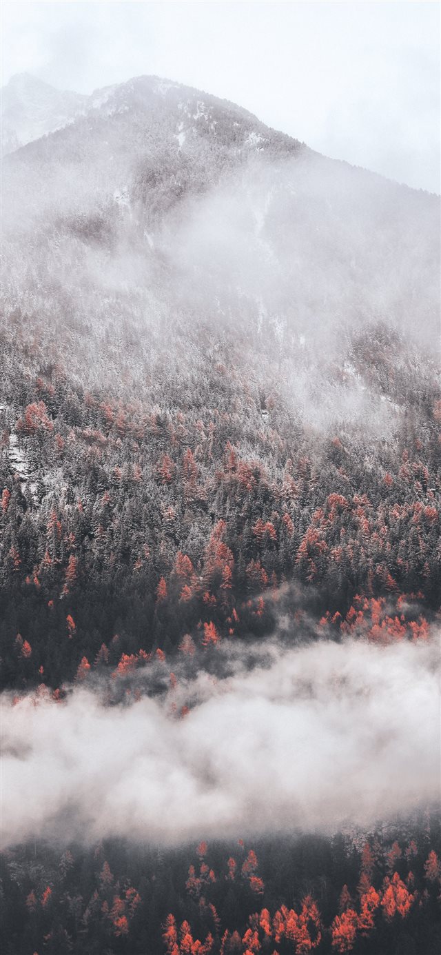 1125x2436 White fall - winter iPhone X Wallpaper