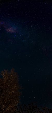 Noche del amigo wallpaper