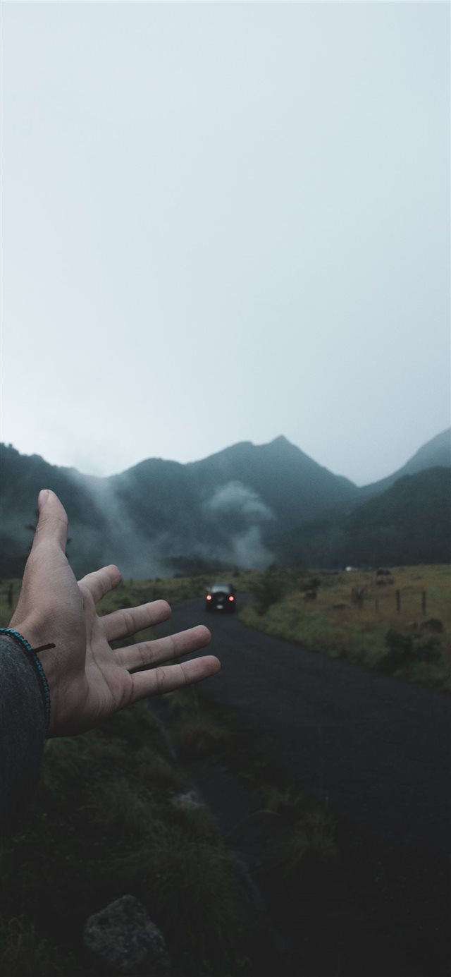 1125x2436 Colder Bloom - cold iPhone X Wallpaper