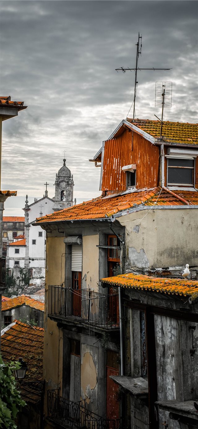1125x2436 Porto  Portugal - roof iPhone X Wallpaper
