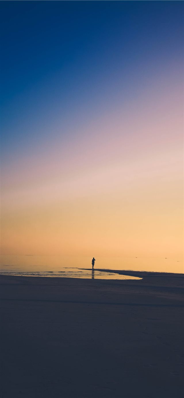 1125x2436 Searching  - silhouette iPhone X Wallpaper