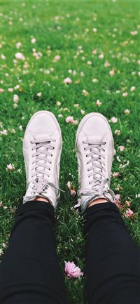 Chilling in the park wallpaper
