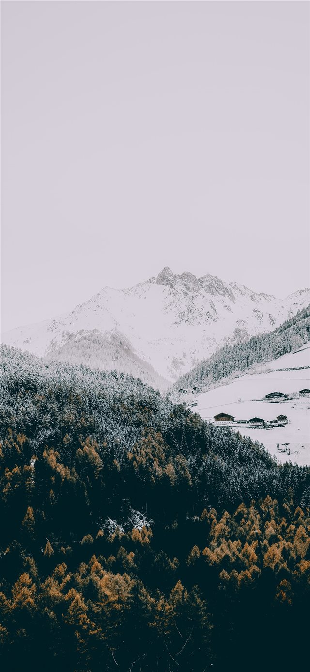 1125x2436 Winter - fall iPhone X Wallpaper