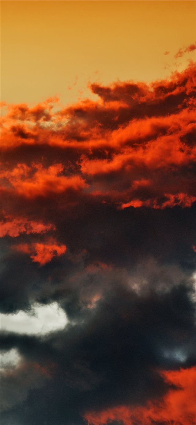 1125x2436 Love prefers twilight to daylight  - orange iPhone X Wallpaper