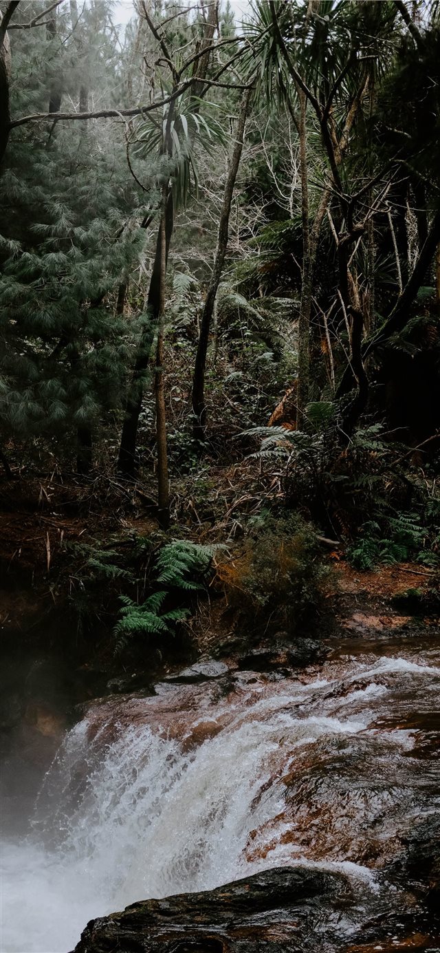 1125x2436 New Zealand - water iPhone X Wallpaper