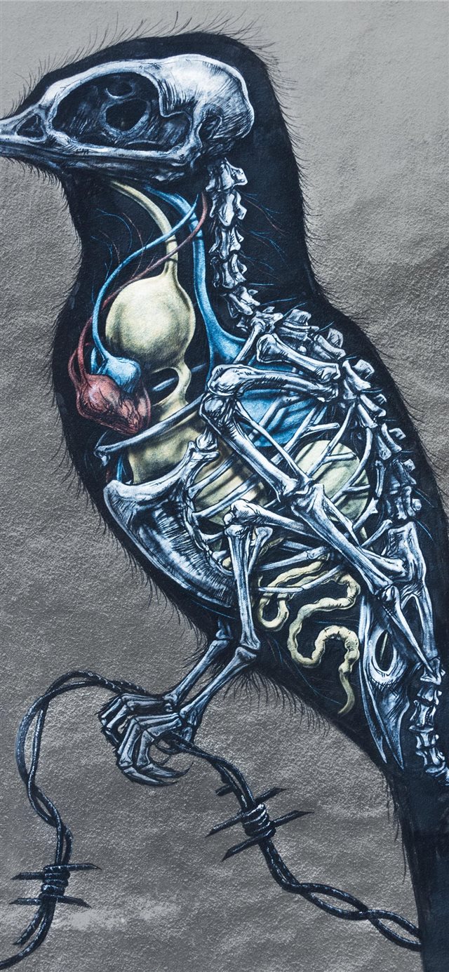 1125x2436 ROA’s mural  part one - poland iPhone X Wallpaper