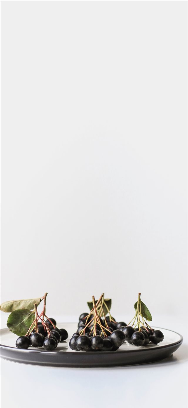 1125x2436 Minimal shot of aronia berries on white - fruit iPhone X Wallpaper