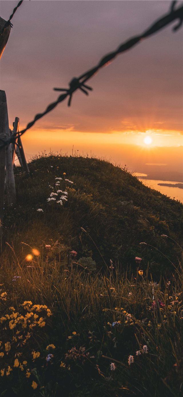 1125x2436 panoramic mountain view - field iPhone X Wallpaper
