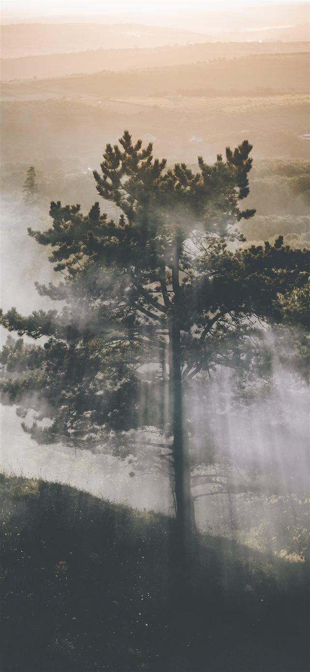 1125x2436 Iași  Romania - valley iPhone X Wallpaper