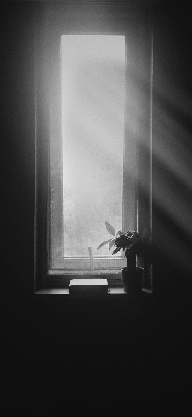 1125x2436 light - window iPhone X Wallpaper