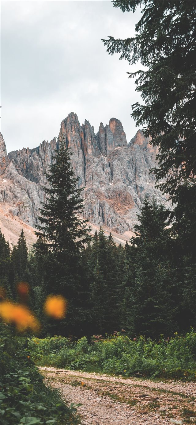 1125x2436 losing days -  iPhone X Wallpaper