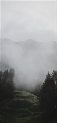 Light over the meadow wallpaper