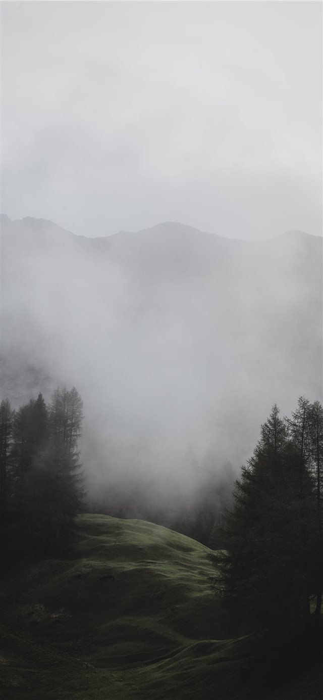 1125x2436 Light over the meadow - foggy iPhone X Wallpaper