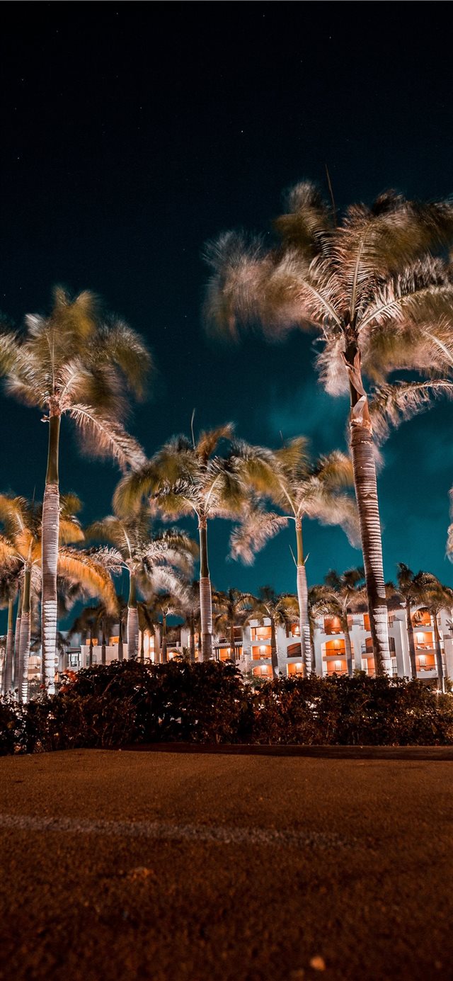 1125x2436 The Palms at hard rock - star iPhone X Wallpaper