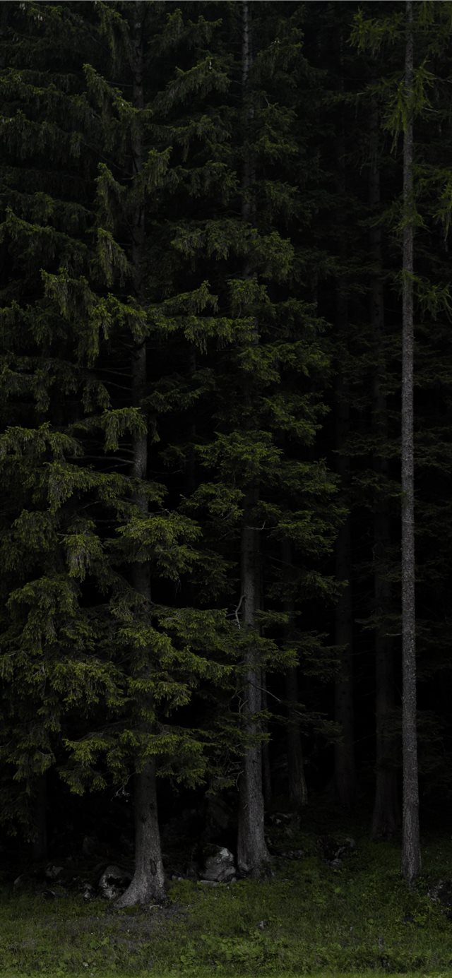 1125x2436 anguished - darkness iPhone X Wallpaper