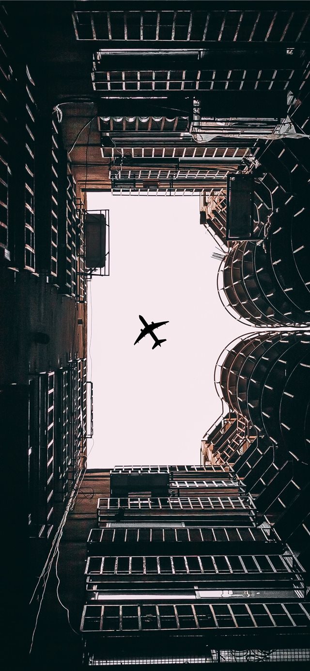 1125x2436 Look up -  iPhone X Wallpaper