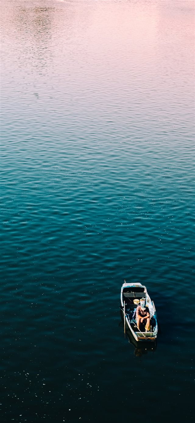 1125x2436 Morning Fish - travel iPhone X Wallpaper