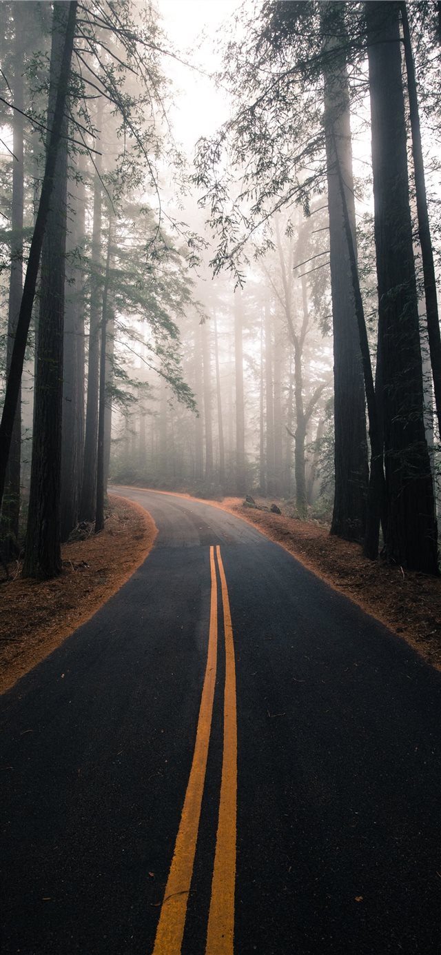 1125x2436 Mount Tamalpais  United States - green iPhone X Wallpaper
