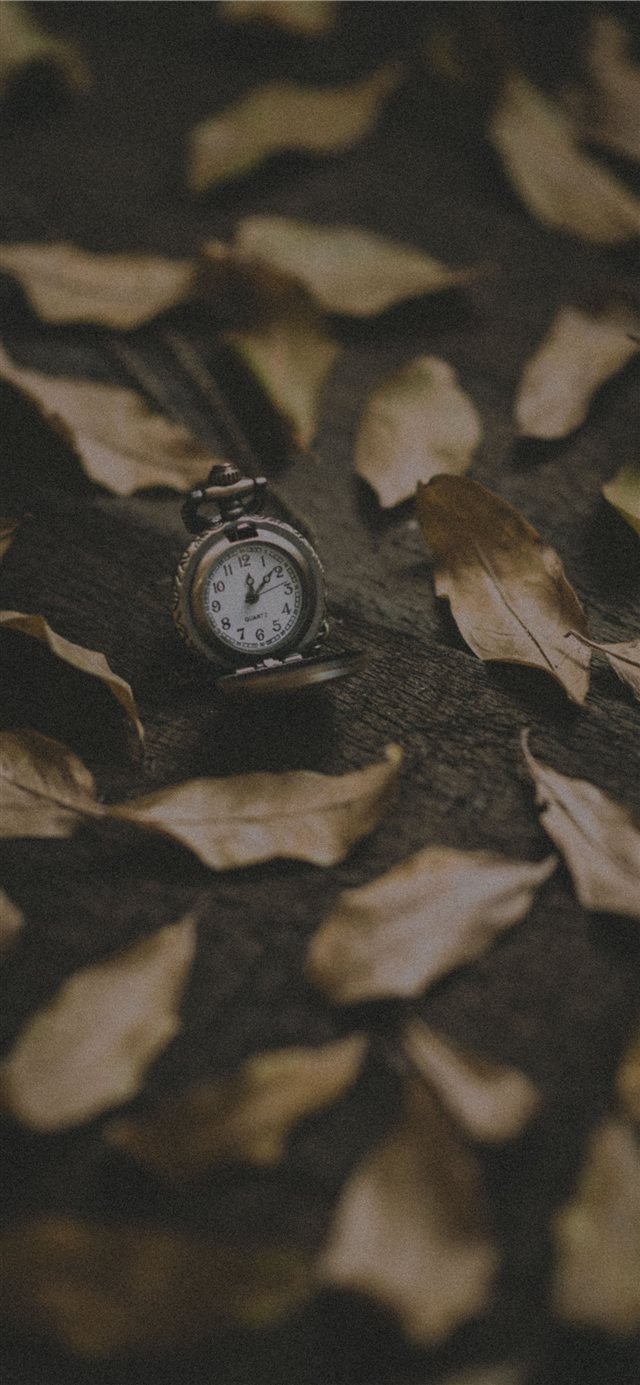 1125x2436 wood - watch iPhone X Wallpaper