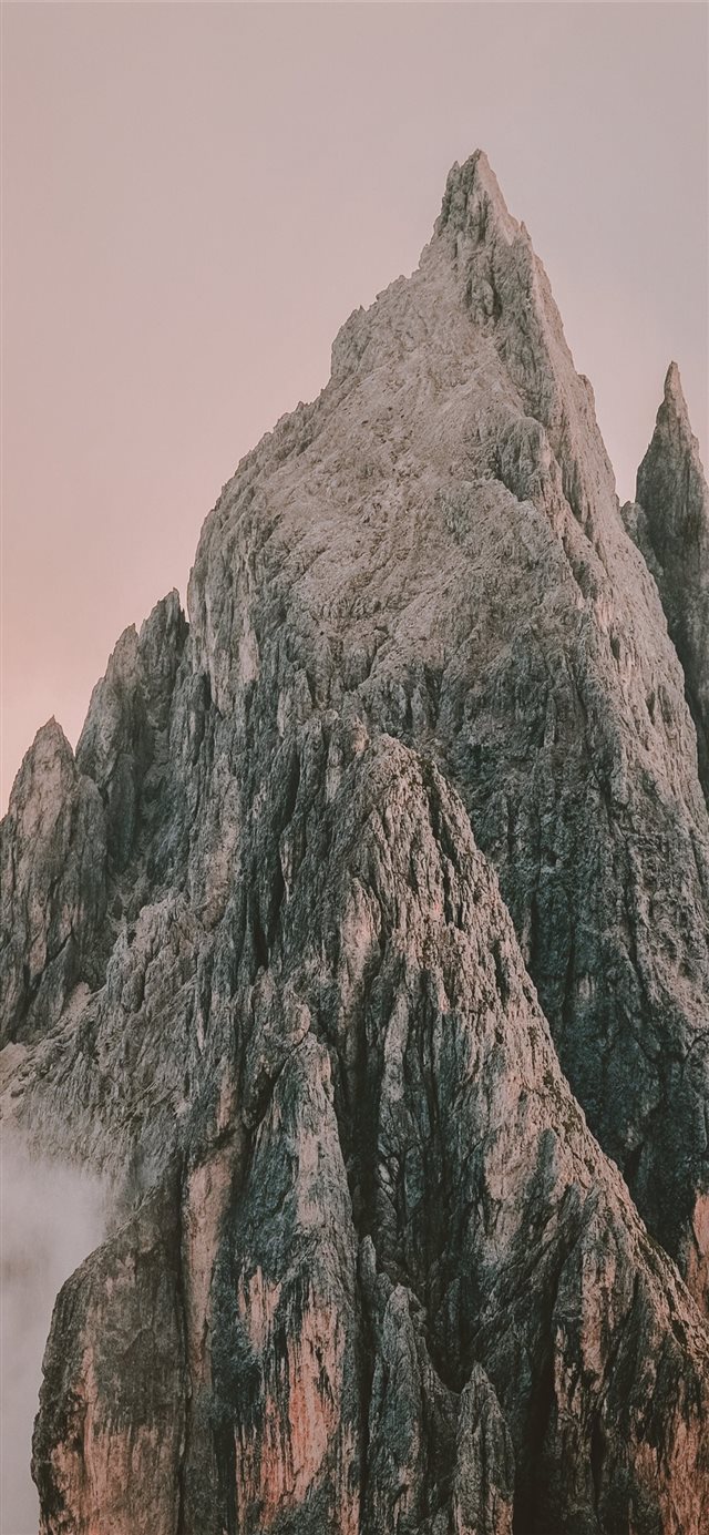 1125x2436 Predator tooth -  iPhone X Wallpaper
