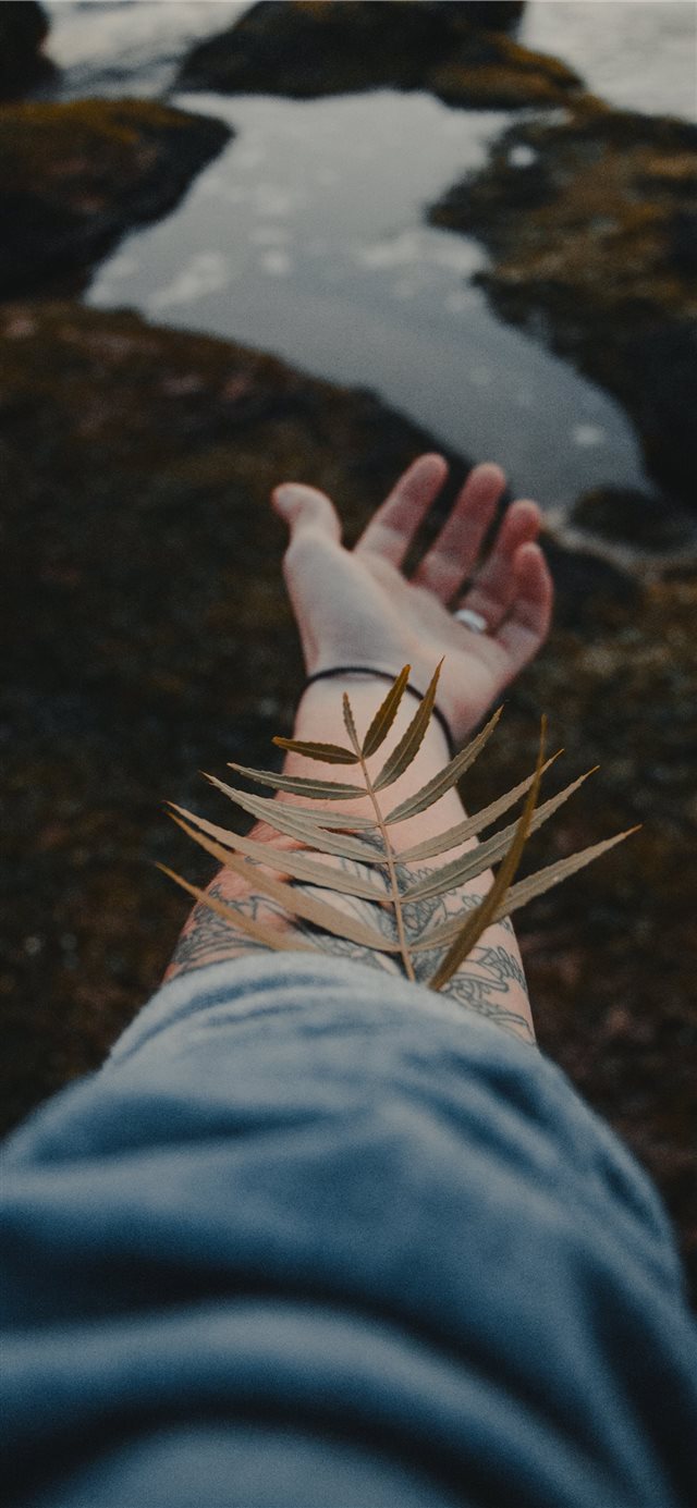 1125x2436 Human by nature - moody iPhone X Wallpaper