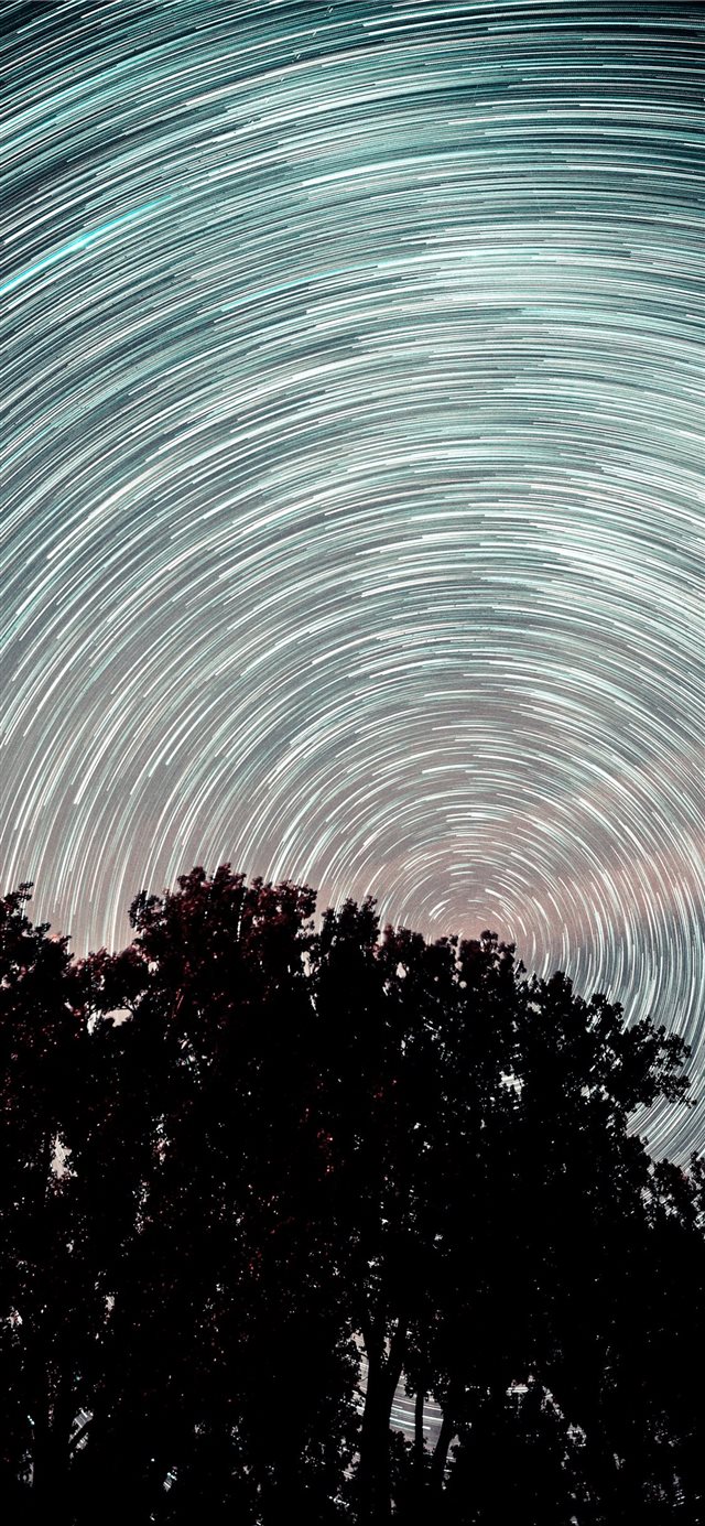 1125x2436 Startrail over trees - star iPhone X Wallpaper